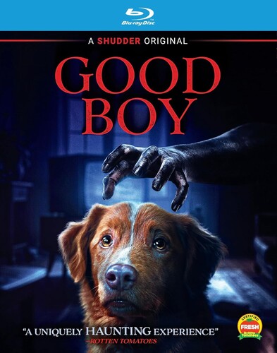 Good Boy - Good Boy - Blu-ray