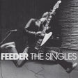 the album cover for Feeder - Singles [Clear Vinyl] (Pnk)