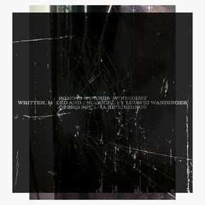 the album cover for Sanguis - Wounding