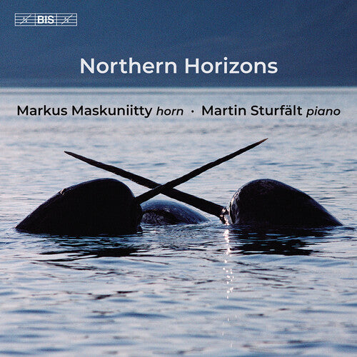 Maskuniitty,markus - Northern Horizons - Super Audio CD