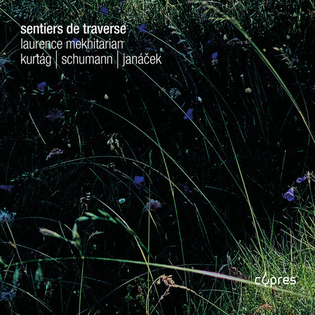 the album cover for Laurence Mekhitarian - Sentiers De Traverse
