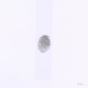 the album cover for Jesso Jr.,Tobias - S H I N E - White [Colored Vinyl] (Wht)