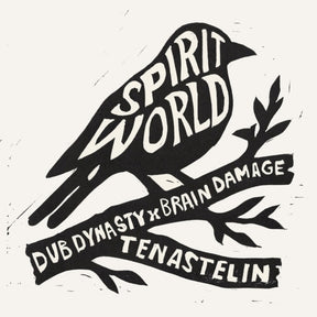 the album cover for Dub Dynasty / Brain Damage / Tenastelin - Spirit World (Ep)
