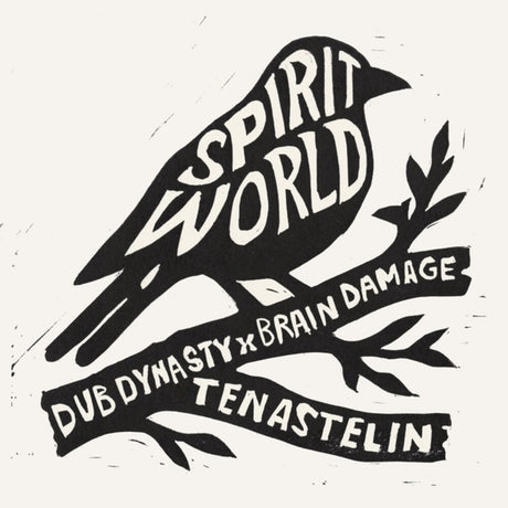 the album cover for Dub Dynasty / Brain Damage / Tenastelin - Spirit World (Ep)