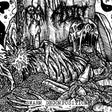 the album cover for Raw Addict - Swarm Decomposition