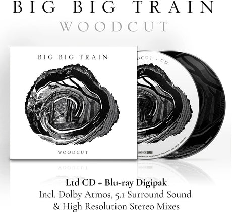 the album cover for Big Big Train - Woodcut