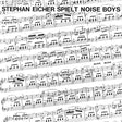 the album cover for Stephan Eicher - Spielt Noise Boys [White Colored Vinyl]