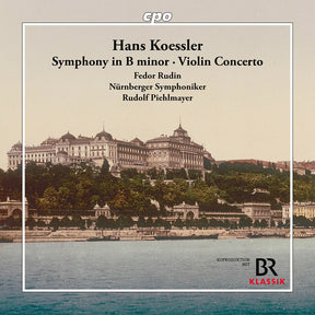 the album cover for Fedor Rudin - Symphony In B Minor & Vn Con