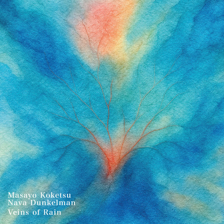 the album cover for Masayo Koketsu - Veins Of Rain