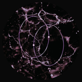 the album cover for Leo Len - Echolocation (Ep)