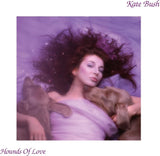 Vinilo