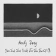 the album cover for Andy Boay - You Took That Walk For The Two Of Us