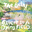 the album cover for Beths - Expert In A Dying Field (Blue) [Colored Vinyl] [Limited Edition]