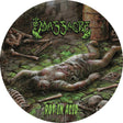 the album cover for Massacre - Rot In Acid [Limited Edition] (Pict)