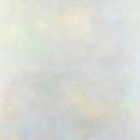 the album cover for Variant - Setting Sun