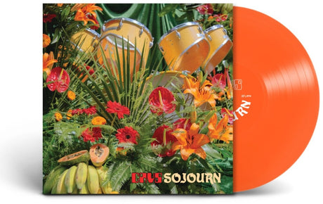 the album cover for Cavs - Sojourn [Colored Vinyl] (Org)