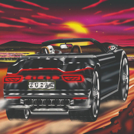 the album cover for Damaged Bug - Zuzax