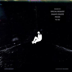 the album cover for Hayes Bradley - Audience (Remixed)