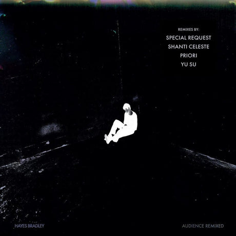 the album cover for Hayes Bradley - Audience (Remixed)