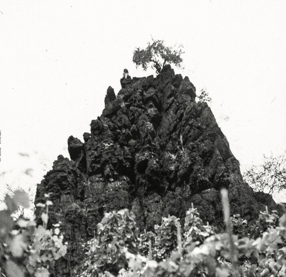 the album cover for Kat Davids - Winterswell