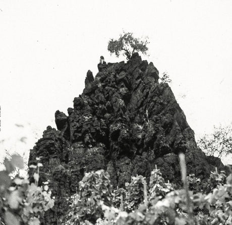 the album cover for Kat Davids - Winterswell