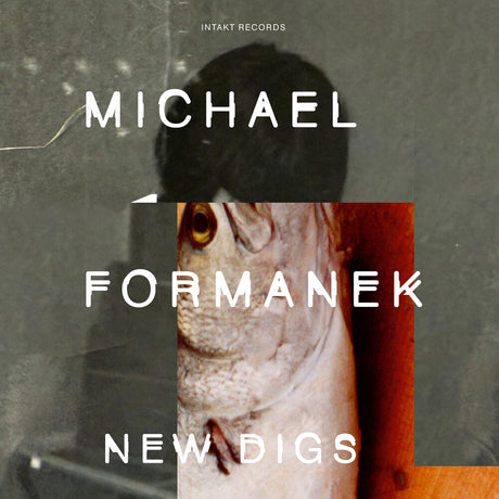 the album cover for Michael Formanek - New Digs