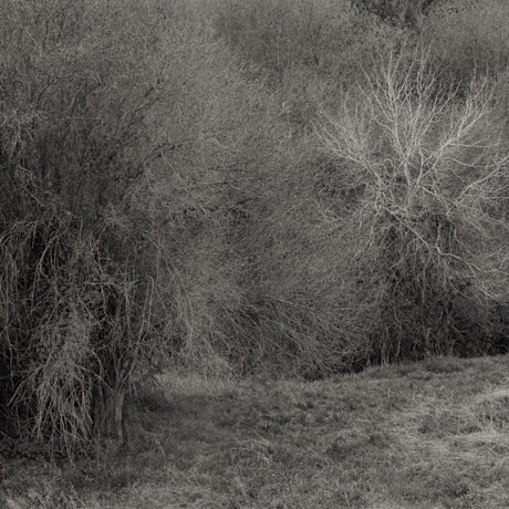 the album cover for K Leimer . - Atrophies For Piano [Colored Vinyl] [180 Gram] (Wht)