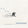 the album cover for Sigurdur Flosason - Blue Shoes