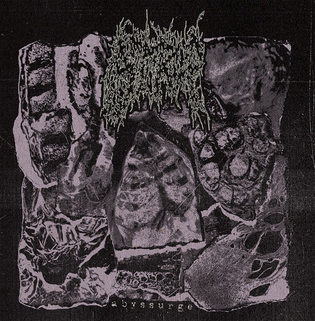 the album cover for Strup - Abyssurge
