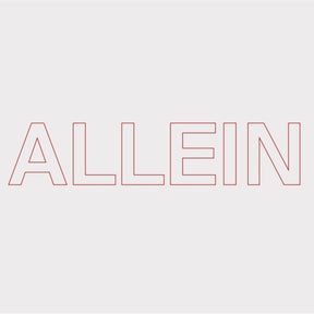 the album cover for Quarks - Allein