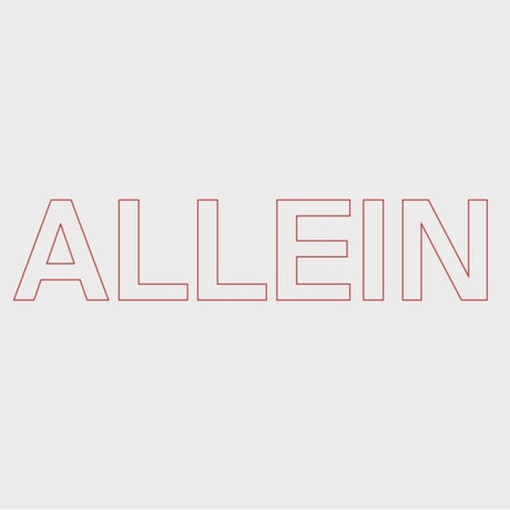 the album cover for Quarks - Allein