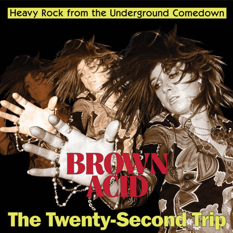 the album cover for Brown Acid - Twenty-Second Trip / Various - Brown Acid - Twenty-Second Trip / Various