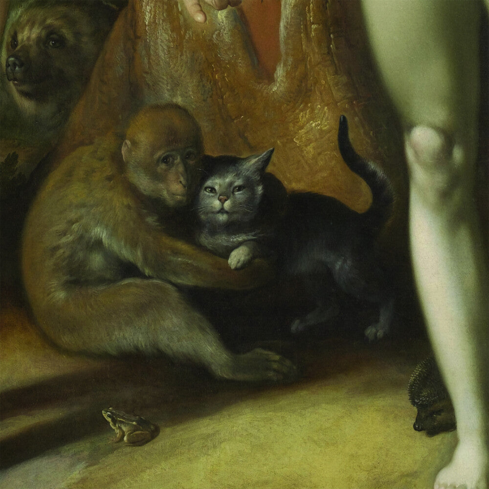 the album cover for Bill Orcutt  / Fratti,Mabe - Almost Waking