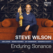 the album cover for Steve Wilson - Enduring Sonance