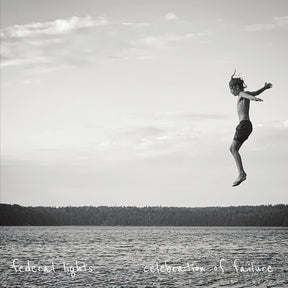 the album cover for Federal Lights - Celebration Of Failure