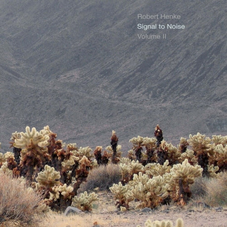 the album cover for Robert Henke - Signal To Noise - Volume Ii