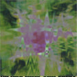 the album cover for Field - Now You Exist