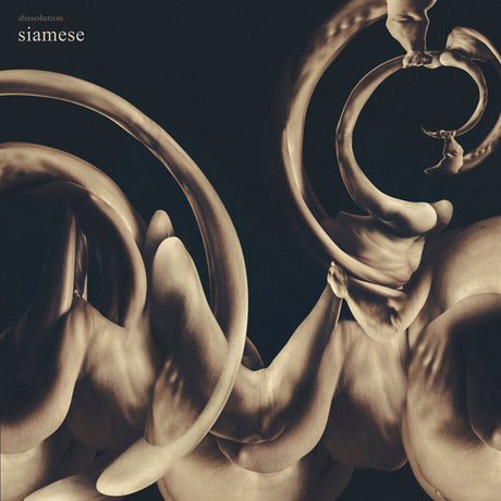 the album cover for Siamese - Dissolution