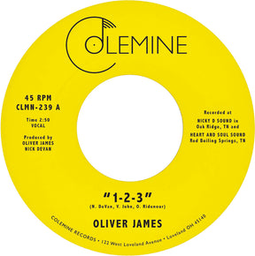 the album cover for Oliver James - 1-2-3 / Nothing Is Forever (Nvbl)
