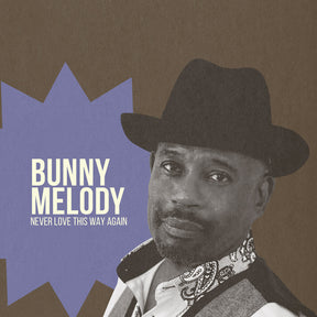 the album cover for Bunny Melody - Never Love This Way Again (Mod)