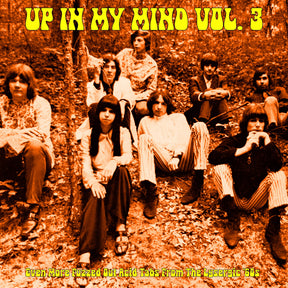 the album cover for Up In My Mind Vol. 3: Even More Fuzzed Out / Var - Up In My Mind Vol. 3: Even More Fuzzed Out / Var