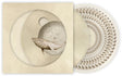 the album cover for Gojira - From Mars To Sirius (Gate) [Limited Edition] (Pict)