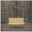 the album cover for Streetlight Manifesto - Hands That Thieve [Colored Vinyl] [Reissue]