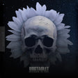 the album cover for Dogtablet - Designed To Fade