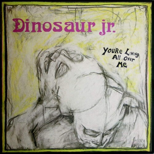 Dinosaur Jr - You're Living All Over Me (revinyl Edition) - Vinyl Record