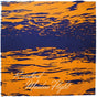 the album cover for Rainbird - Maiden Flight