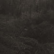 the album cover for Lesley Mok - Transient [Download Included]