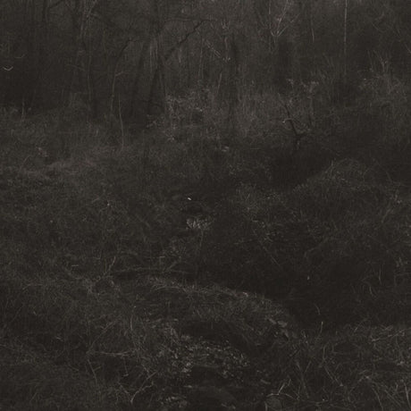 the album cover for Lesley Mok - Transient [Download Included]