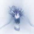 the album cover for Cd Ghost - When The Rain Stops