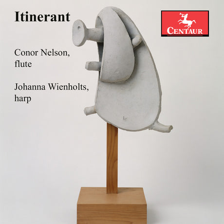 the album cover for Conor Nelson - Itinerant
